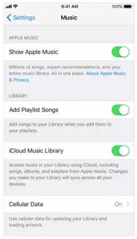 3 Ways|How to Move Music to iCloud Storage from iPhone/PC