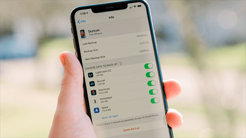 [3 Ways] How to Selectively Restore iPhone Backup