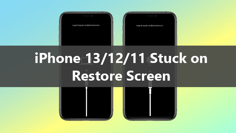 If the Restore screen appears on your iPhone, iPad, or iPod touch