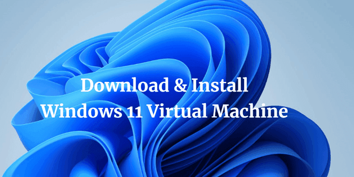 Download Windows 11 Enterprise Trial Version Setup Free
