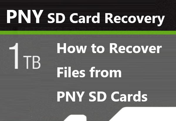 SDXC Card Recovery: How to Recover Deleted Files From SDXC Cards
